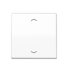 Центральная плата для вставок управления двигателями AS1700PWW Jung