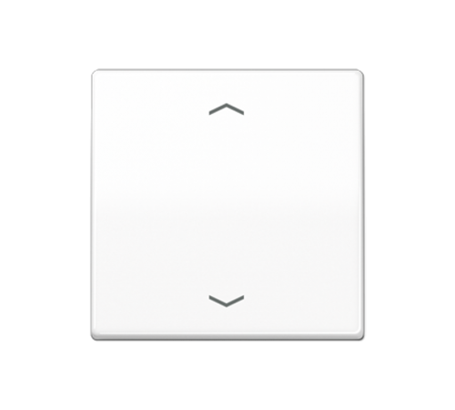 Центральная плата для вставок управления двигателями AS1700PWW Jung