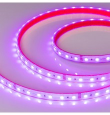 Лента светодиодная герметичная RTW-PS-B60-12mm 24V RGB (14.4 W/m, IP67, 5060, 5m) (arlight, -)  021400(2)  Arlight