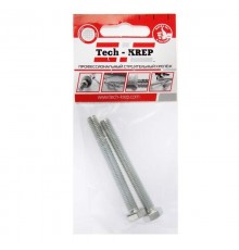 Болт DIN933 8.8 с шестигранной головкой оцинк. М12х70 (2 шт) - пакет ( 0,136 кг)  102981  Tech-KREP