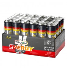 Батарейки LR6-24 bulk  Б0035376  Трофи