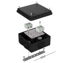 Коробка огнестойкая для о/п 40-0300-FR6.0-4-П Е15-Е120 с термопредохранителем RAL9005 100х100х50 (14 шт/кор) черная  40-0300-9005-FR6.0-4-П  Промрук