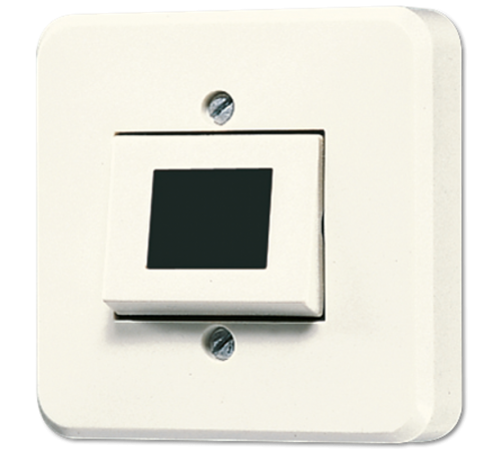 Одноклавишный кнопочный выключатель 1А, 24В; AP600 333A-24 Jung