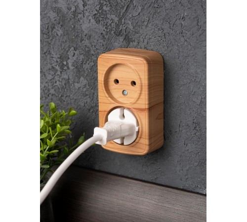 Розетка 2-местная ОП Минск 10А без заземления светлое дерево EKF  EGR10-102-30  EKF