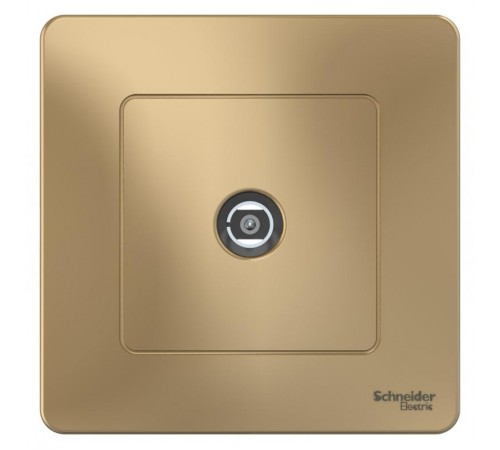 Blanca Титан С/У Розетка TV  BLNTS000014  SE