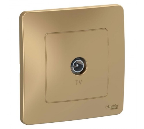 Blanca Титан С/У Розетка TV  BLNTS000014  SE