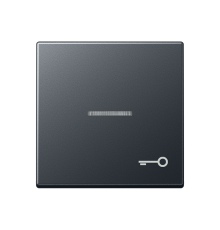 Клавиша с символом двери с подсветкой  A590BFKO5TANM  Jung