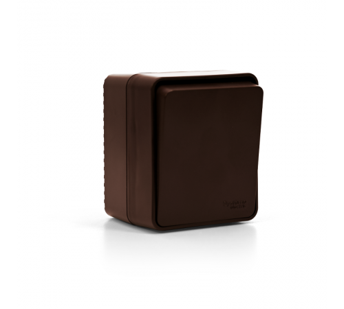 AtlasDesign Profi54 Коричневый О/У Выключатель 1-клавишный с самовозвратом 10 АХ  ATN546015  SE