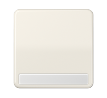 Клавиша для выключателя и кнопки, с полем для надписи; слоновая кость CD590NABF Jung
