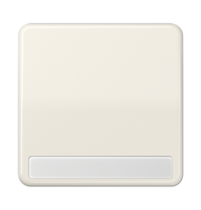 Клавиша для выключателя и кнопки, с полем для надписи; слоновая кость CD590NABF Jung