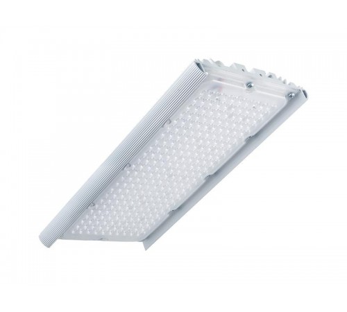 Светильник светодиодный консольный уличный Unit PRO 55/8000 55Вт 8000Лм К30 5000K IP67 лира  DUPRO55K30-5K-L  Diora