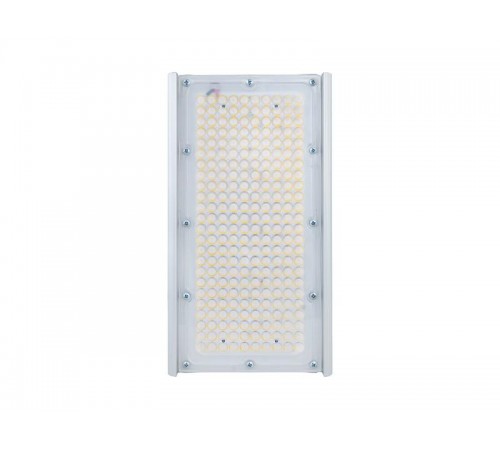 Светильник светодиодный консольный уличный Unit PRO 55/8000 55Вт 8000Лм К30 5000K IP67 лира  DUPRO55K30-5K-L  Diora