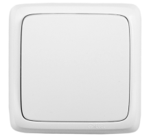 Выключатель открытой установки, одноклавишный, цвет белый  ВА10-111  HEGEL