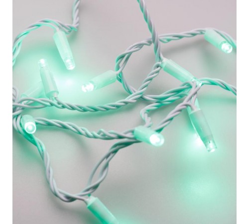 Светодиодная гирлянда ARD-STRING-CLASSIC-10000-WHITE-100LED-STD GREEN (230V, 7W)  025815  Arlight
