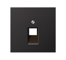 Накладка на одинарные UAE-розетки; термопласт; черный матовый EP569-1BFPLUASWM Jung