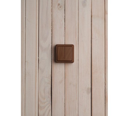 ОКТАВА дуб Выключатель 2-клавишный О/У 10А ВС20-2-0-ОД  EVO20-K04-10-DC  GENERICA