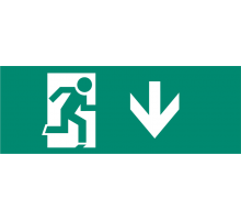 Наклейка для аварийного светильника S1 для ДСА-503 328*119 "Указатель двери эвак.выход вниз" (штрифт нестандарт)  .5035133  ФАZA