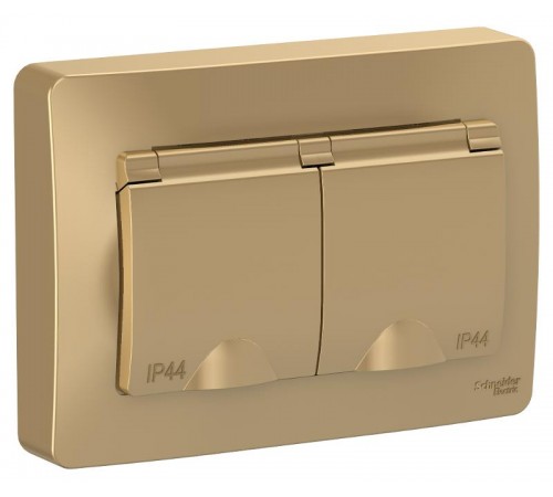 Blanca Титан С/У Розетка 2-ая с заземлением IP44 со шторками, 16А, 250В  BLNRS441124  SE