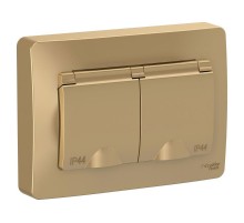 Blanca Титан С/У Розетка 2-ая с заземлением IP44 со шторками, 16А, 250В  BLNRS441124  SE