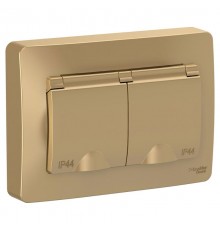 Blanca Титан С/У Розетка 2-ая с заземлением IP44 со шторками, 16А, 250В  BLNRS441124  SE