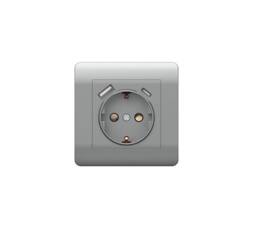 Розетка с/з со шторками, 16А+ USB двойная A+С, 5В/2,1А, серебряный(NEW3-E)  431454  CHINT