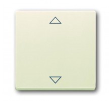 Клавиша для механизма электронного выкл. Busch-Jalousiecontrol , серия solo/future, цвет savanne/слоновая кость  6430-0-0327   2CKA006430A0327  ABB