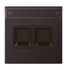 Плата (фиксация защёлкиванием) с полем для надписи для двух модулей; металл; дарк AL1969-2NAWED Jung