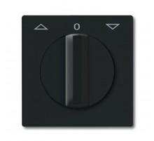 Плата центральная (накладка) с поворотной ручкой, , IP44, серия Allwetter 44, цвет антрацит  1710-0-1886   2CKA001710A1886  ABB