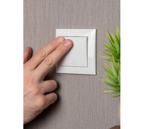 Валенсия выключатель 1-кл. 10А белый проходной EKF PROxima   EWV10-025-10   EKF