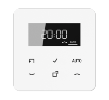 Стандартный таймер с диплеем CD1750DWW Jung