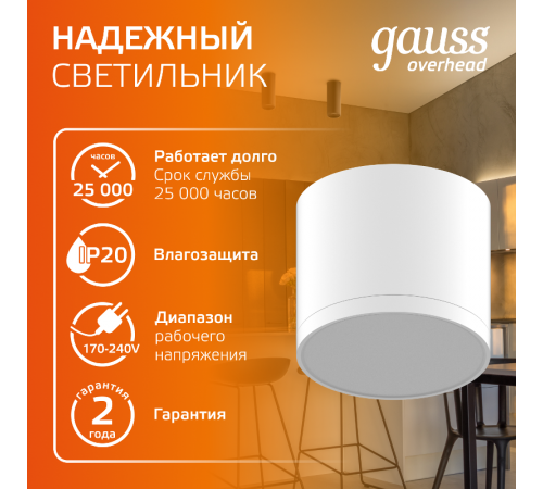 Светильник светодиодный декоративный бытовой с рассеивателем HD025 10W (белый) 3000K 88х75мм  HD025  Gauss