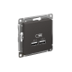 AtlasDesign Базальт USB Розетка A+A, 5В/2,1 А, 2х5В/1,05 А, механизм  ATN001433  SE