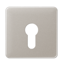 центральная плата для вставки с ключом CD525PT Jung