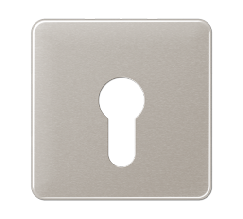 центральная плата для вставки с ключом CD525PT Jung