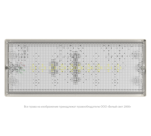 Световой указатель аварийного освещения светодиодный BS-UNIVERSAL-53-L2-STABILAR2 24,5Вт 3ч IP65 универсальный накладной  a15639  Белый свет