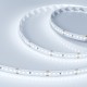 Лента светодиодная RT 2-5000 24V Cool 8K 3x (2835, 840 LED, LUX)  019092  Arlight