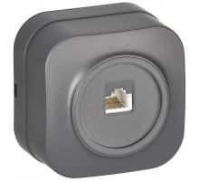 GLORY Розетка компьютерная RJ45 кат.5E о/у РК10-ХСм сталь матовый  EKH10-K46M  IEK