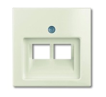 ABB Basic 55 Сл. кость Накладка 2-ой ТЛФ/комп розетки наклонной  1753-0-0097   2CKA001753A0097  ABB