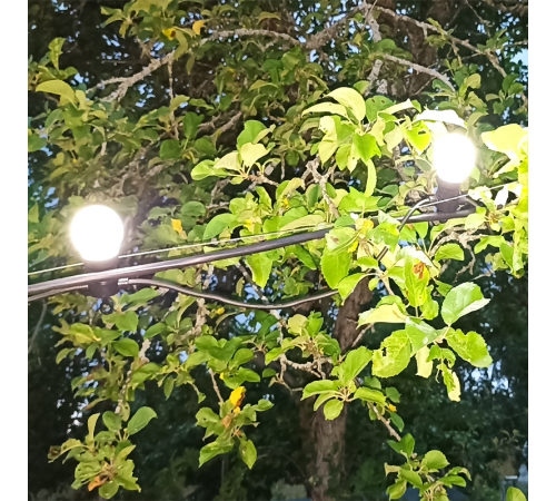 Гирлянда светодиодная "Белт Лайт" серия Holiday, 10 ламп, 7,7 м, IP44, белый, 1/6  HL062  Gauss