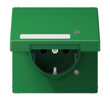 SCHUKO-розетка с крышкой   LS1520NAKLKOGN Jung