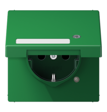 SCHUKO-розетка с крышкой   LS1520NAKLKOGN Jung