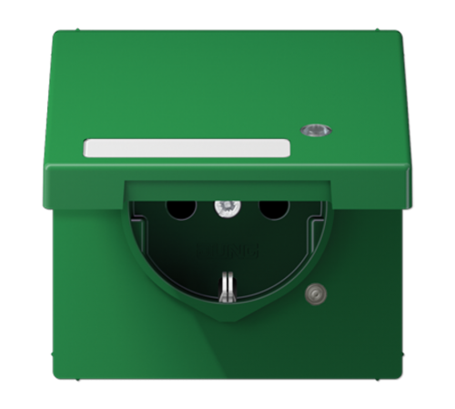 SCHUKO-розетка с крышкой   LS1520NAKLKOGN Jung