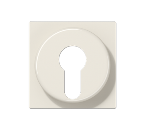 Крышка для выключателя с замком; слоновая кость A528PL Jung
