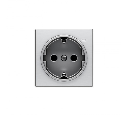 Накладка для розетки SCHUKO с линзой для контрольной подсветки, серия SKY, цвет нержавеющая сталь2CLA858880A1401 ABB