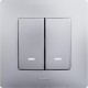 Etika Алюминий Выключатель 2-клавишный с подсветкой/индикациейавт, автозажимные клеммы, 10 AX, 250 В  672404  Legrand