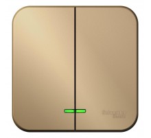 Blanca Титан О/У с изолирующей пластиной Титан Выключатель 2-клавишный с подсветкой 10А,250B  BLNVA105114  SE