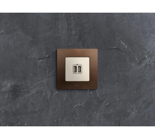 Etika Слоновая кость Розетка USB 2-ая 240В/5В 2400мА  672394  Legrand