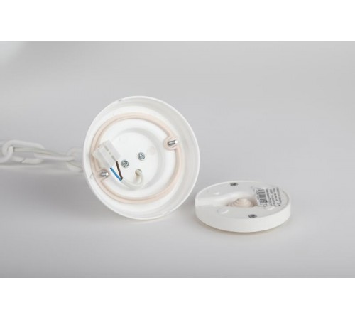 Светильник садово-парковый НСБ 01-60-251 , шар опал подвес цепь D=250 mm  Б0048085  ЭРА