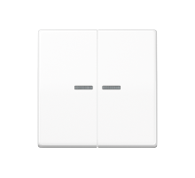 2-я клавиша с окошками для баланс мех выкл (кнопок), в компл с AS90-5HP , возможно IP44; дюропласт; белый; AS500 AS591-5KO5WW  Jung