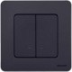 Inspiria Антрацит Выключатель 2-клавишный с подсветкой С/У без рамки 673633  Legrand
